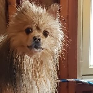 My bathing beauty